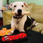 Willis Henderson - @willis.henderson.319 - Instagram