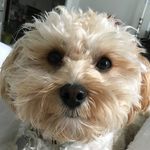 Willis Jackson - @whatwillisistalkinbout - Instagram