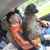Willis Jenkins - @willis.jenkins - TikTok
