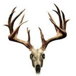 Willis McKee - @bassmastermckee - Instagram