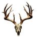 Willis McKee - Facebook