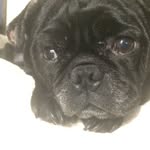 Bruce Willis Nelson Wayne - @babybruce16 - Instagram