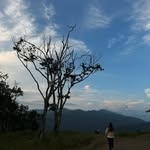 Willis Weaver - @willisweaver77 - Instagram