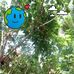 Willis Williams - Facebook