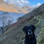Willow Barton - @winsterwillow - Instagram