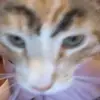 Lilly - @willowbernard - TikTok