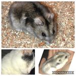 Willow And Bernard And Dave - @dave.willow.bernard.18 - Instagram