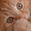 Willow_Bernard - @willow_bernard - TikTok