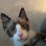 Willow Blair - @_kittygirl_123 - Instagram