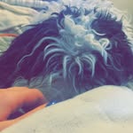Willow Blair The Service Dog💞 - @willow.the.service.dog - Instagram