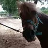 marie.willowchen - @marie.willowchen - TikTok