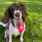 willow cooper - @willowthesprockerx - Instagram