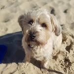 Willow Cooper - @adventureswithwillow2022 - Instagram