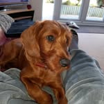 Willow Cooper - @willowco04 - Instagram