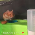 Willow Cooper - @willowwonders11 - Instagram