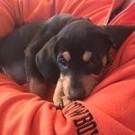 Willow Dean - @the.willow.dean - Instagram