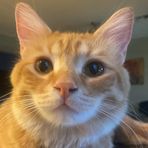 Willow Dean - Facebook