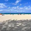 Willow Donovan - @willow.donovan.25x - TikTok