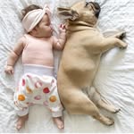 frank + willow - @frankandwillow - Instagram