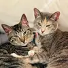 Frank and Willow's Adventures - @frank_and_willow - TikTok