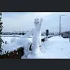 Frank willow - @frankwillow - TikTok