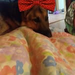 Willow Frank - @cutedog673 - Instagram