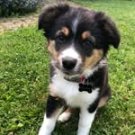 Willow Rose Frank - @the_miniwillow - Instagram