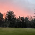 willow - @willowgrant430 - Instagram