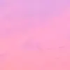 willowgrant23 - @willowgrant23 - TikTok