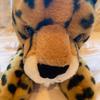 willow.grant - @willow.grant - TikTok