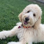 Willow Henry - @willow.henry - Instagram