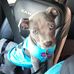 Willow Higgins - Facebook