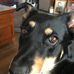 Willow Higgins - Facebook