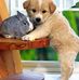 Willow Higgins - Facebook