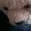 Willow James - @willow.james087 - TikTok