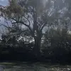 willow james🤪 - @willow.james6 - TikTok