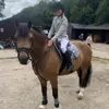 willowjames_sj - @willowjames_sj - TikTok