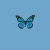 willowjarvis8 - @butterfly_willow - TikTok