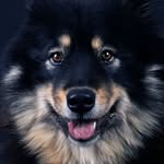 willow johnston - @willow.pillow.marshmallow2012 - Instagram