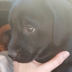 Willow Keller - @welpe_willow - Instagram