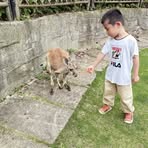 Willow Liu - Facebook