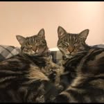 Willow & Marshall - @willowandmarshall - Instagram