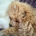 Willow Marshall - @willowowowx - Instagram