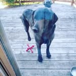 Willow Marshall - @willow.marshall.73345 - Instagram