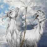 Willow Jade Norton Productions - @wjnp.productions - Instagram