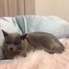 willow_norton - @wizard_norton - TikTok