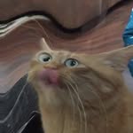 Willow Norton - @willow_breadstick28 - Instagram