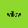 willow🫀 - @.willow.pierce - TikTok