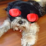 Willow Pitts - Facebook