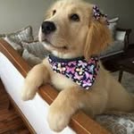 Willow Mike Porterfield - @willowporterfield - Instagram